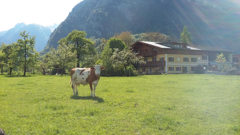 Starbauer Lägenhet Golling an der Salzach Exteriör bild